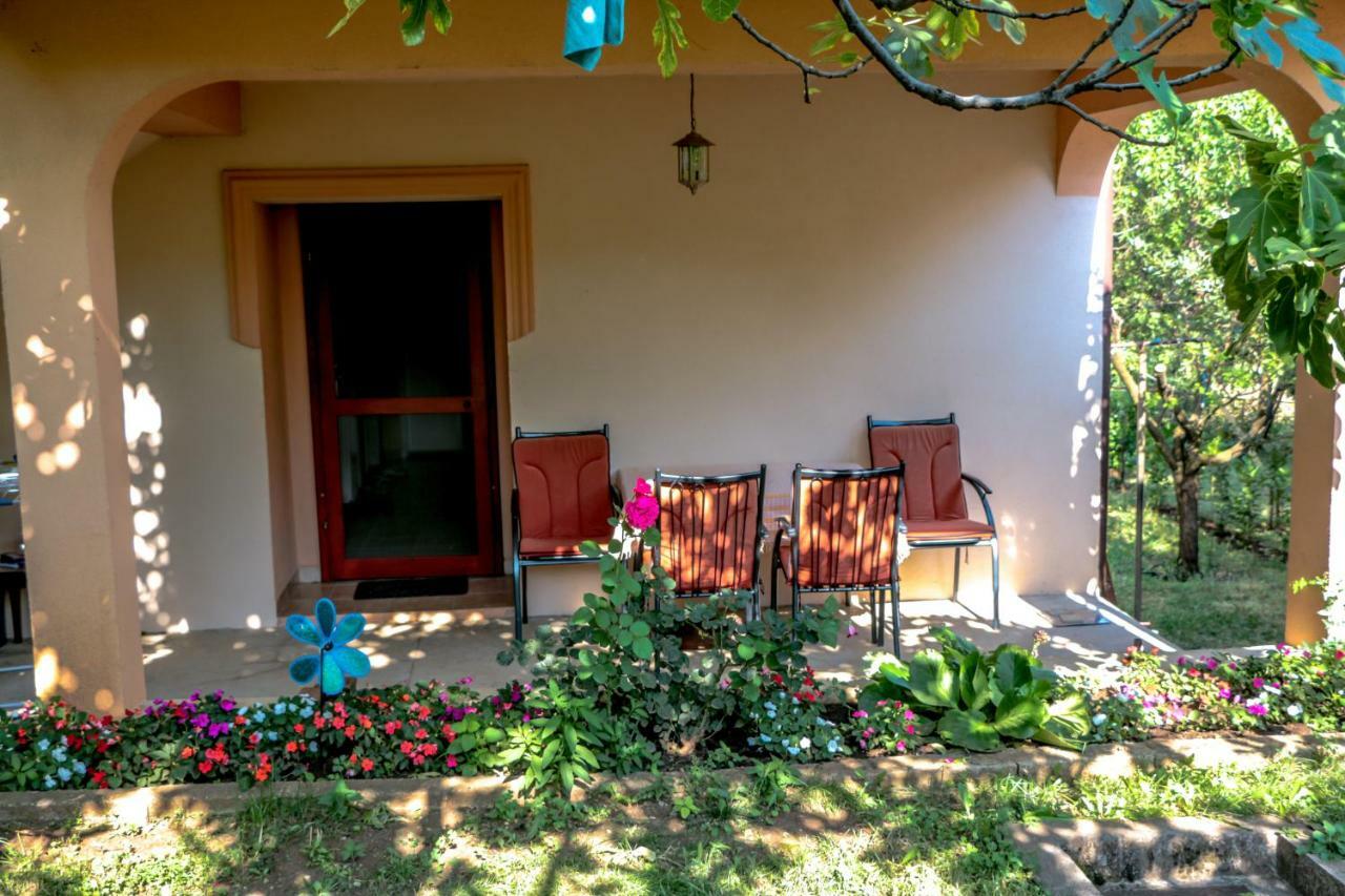 Apartman Draz Τρέμπινιε Εξωτερικό φωτογραφία