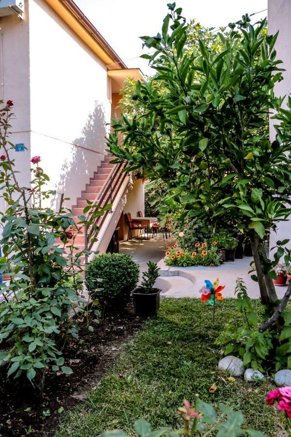 Apartman Draz Τρέμπινιε Εξωτερικό φωτογραφία